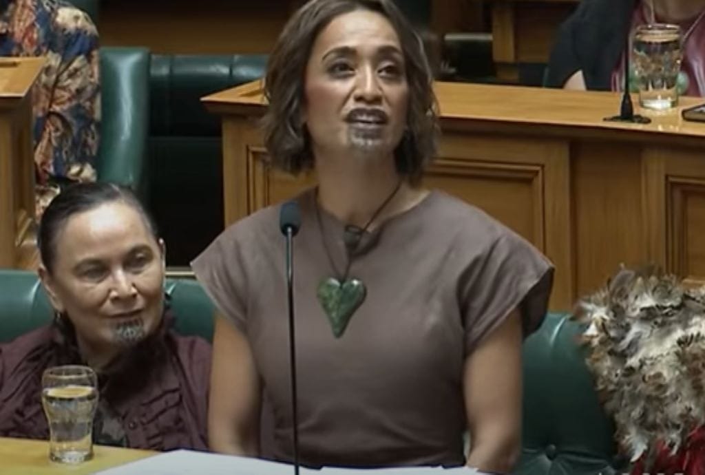 ‘People go on to marae all over the country and respect the protocols’ – Speaker reminds Te Pāti Māori of ‘tikanga’
