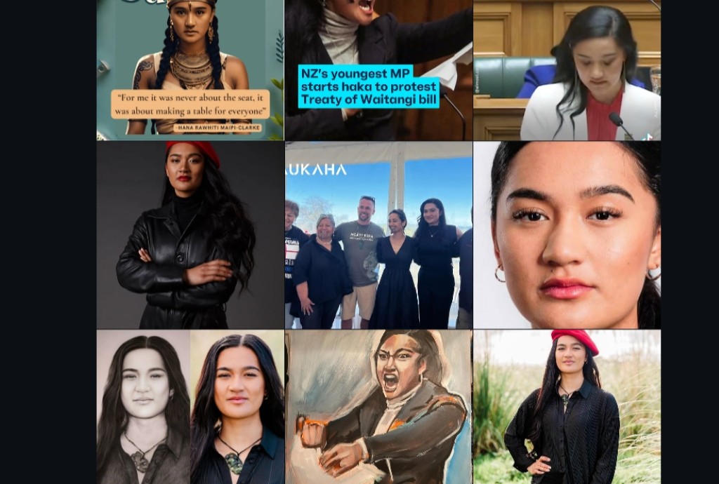 Social media loud, Parliament quiet: Questions reveal gaps in Te Pāti Māori MPs’ record