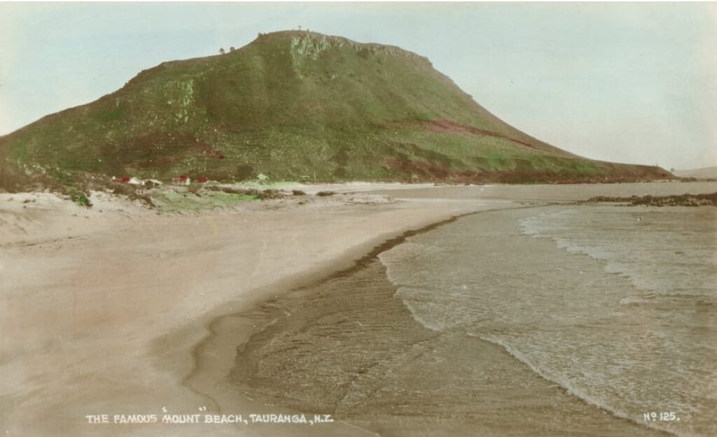 IAN WISHART: Are climate activists ignoring the evidence at Mt Maunganui? - Centrist