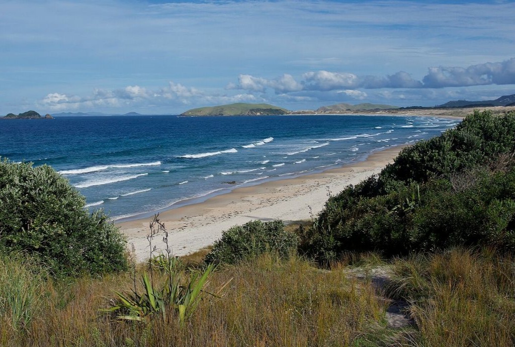 FNDC accused of taking power away from voters