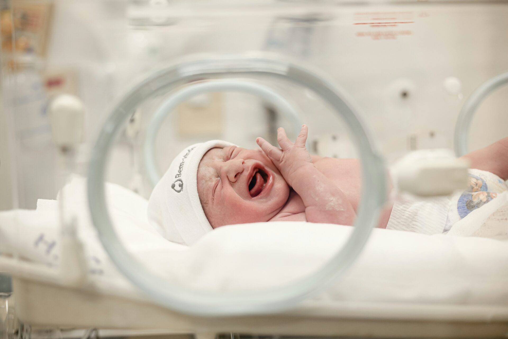 NZ birthrate falls again as Māori population grows faster than national average