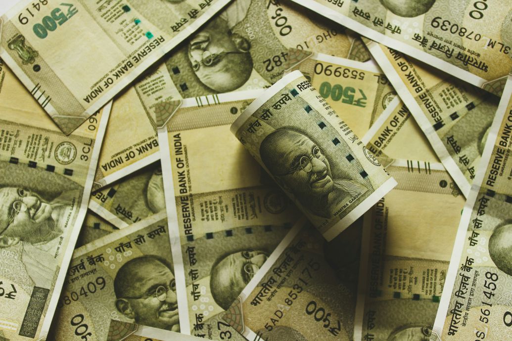Critic says India FTA is more than a trade deal