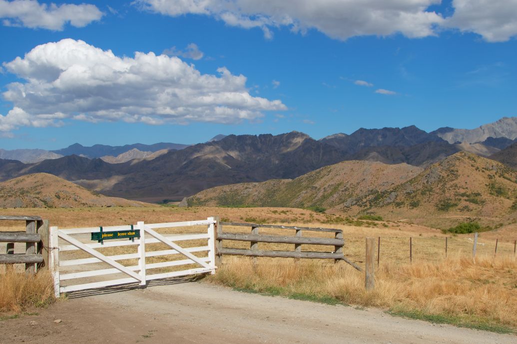 ‘Station for the nation’ bid rejected as DoC picks Ngāi Tahu for Molesworth
